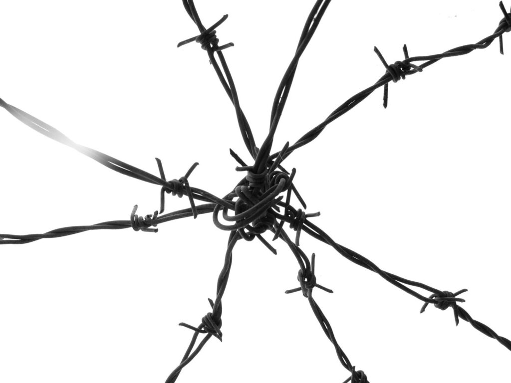 barbed-wire-2-1234670